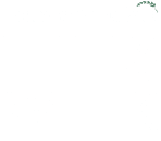 The Vermont Standard Logo
